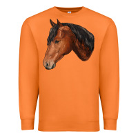 Carrot horse Premium Sweatshirt - RanaPortraitStore