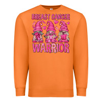 Carrot Breast Cancer Warrior Gnomes Premium Sweatshirt - texasbilliewilder