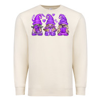 Sandshell Domestic Violence Warrior Gnomes Premium Sweatshirt - texasbilliewilder