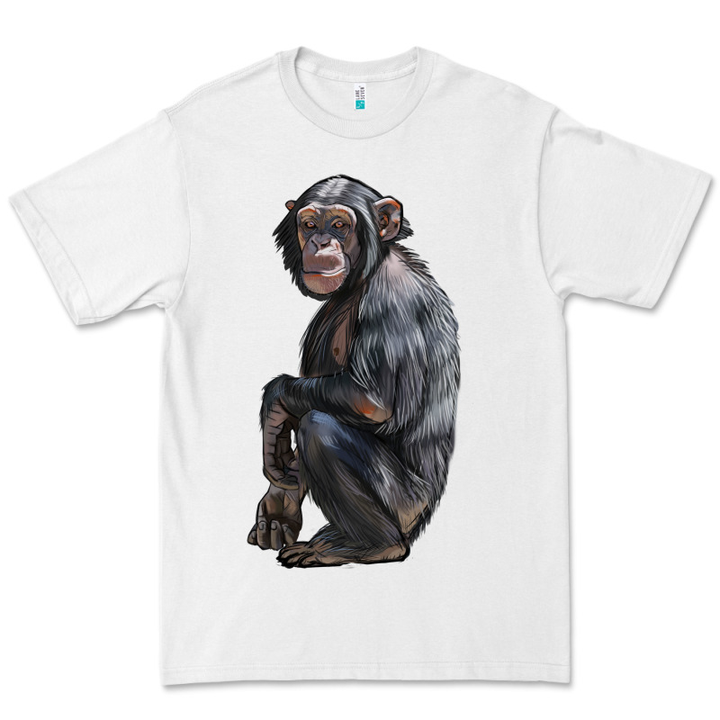 Chimpanzee Illustrations Premium Tee by LillyAllenDesigns | Teevron
