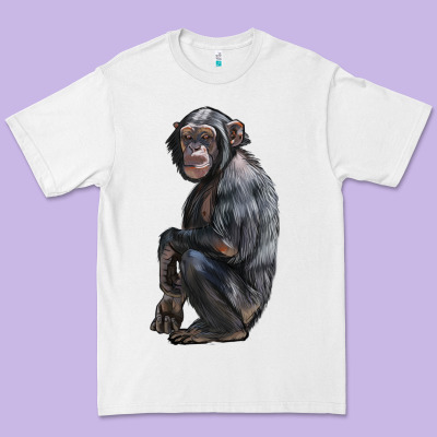 Chimpanzee Illustrations Premium Tee Designed By Lillyallendesigns