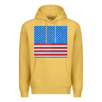 Antique Gold Glitter 4th Of July Seamless Pattern Premium Hoodie - BundleAndBundleShop