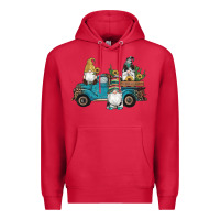 Cardinal western gnomes truck sunflowers cactus gemstone leopard glitter serape Premium Hoodie - Artiststas