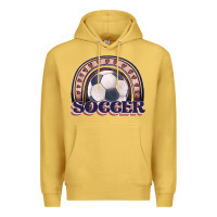 Antique Gold soccer rainbow Premium Hoodie - JahusDesignShop