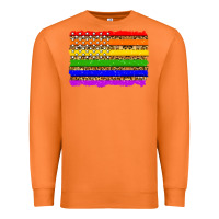 Carrot lgbtq and usa flag Premium Sweatshirt - Zillion Design Studio