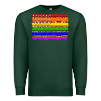 Sports Green lgbtq and usa flag Premium Sweatshirt - Zillion Design Studio