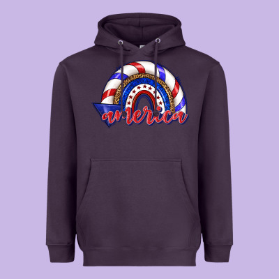 Heavyweight Hoodie America rainbow