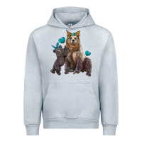 Heather Grey mama bear and baby bear Urban Hoodie - Artiststas