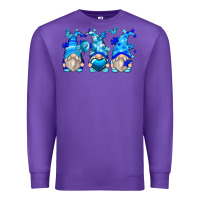 Purple autism gnomes Premium Sweatshirt - Zillion Design Studio