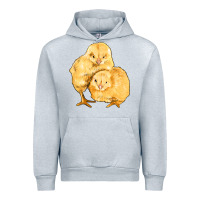 Heather Grey chicks Urban Hoodie - Artiststas