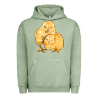 Chicks Urban Hoodie | Teevron
