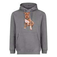 Storm brown pitbull Heavyweight Hoodie - RanaPortraitStore