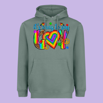 Heavyweight Hoodie its okay to say gay