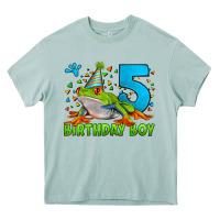 Arona Birthday Boy Frog Age 5 Heavy Core Tee - LillyAllenDesigns