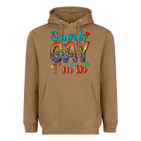 Sounds Gay Im In Heavyweight Hoodie | Teevron