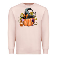 Pale Pink Kids Pumpkin with Halloween Premium Sweatshirt - texasbilliewilder