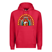 Cardinal firefighter gnomes rainbow Premium Hoodie - Artiststas