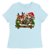 Baby Blue Christmas donkeys Ladies Tee - BarkalooDesign