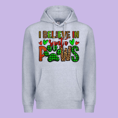 I Believe In Santa Paws Christmas Premium Hoodie Designed By Jasminsmagicworld