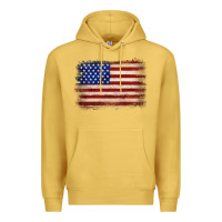 Antique Gold American flag Premium Hoodie - JahusDesignShop