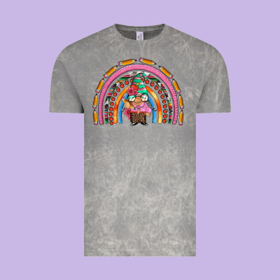 Teacher Gnome Rainbow Vintage Tee Designed By Artiststas