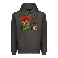 Smoke merry pawmas christmas yorkie Premium Hoodie - Jasminsmagicworld