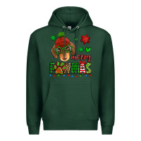 Sports Green merry pawmas christmas dachshund Premium Hoodie - Jasminsmagicworld