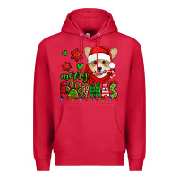 Cardinal merry pawmas christmas corgi Premium Hoodie - Jasminsmagicworld