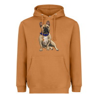 Meerkat French bulldog with royal blue Heavyweight Hoodie - RanaPortraitStore