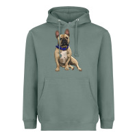 Sage French bulldog with royal blue Heavyweight Hoodie - RanaPortraitStore
