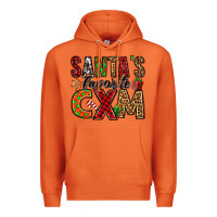 Carrot santa's favorite cxm Premium Hoodie - Jasminsmagicworld