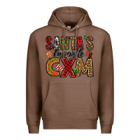 Chestnut santa's favorite cxm Premium Hoodie - Jasminsmagicworld