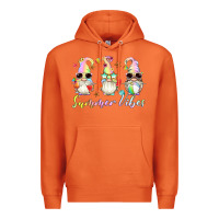 Carrot summer vibes gnomes Premium Hoodie - Artiststas