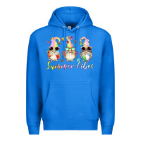 True Royal summer vibes gnomes Premium Hoodie - Artiststas