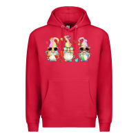 Cardinal summer gnomes Premium Hoodie - Artiststas