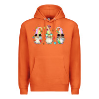 Carrot summer gnomes Premium Hoodie - Artiststas