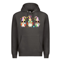 Smoke summer gnomes Premium Hoodie - Artiststas
