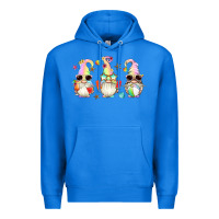 True Royal summer gnomes Premium Hoodie - Artiststas