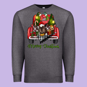 Merry Christmas Truck Premium Sweatshirt Designed By Ranaportraitstore