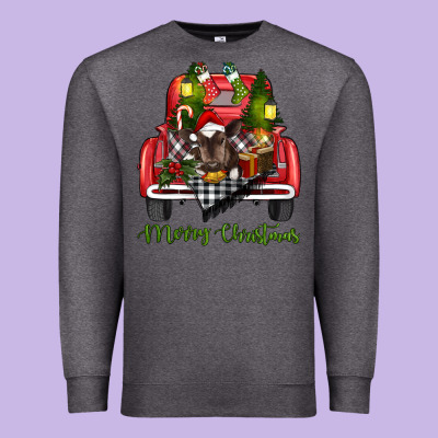 Merry Christmas Truck Premium Sweatshirt Designed By Ranaportraitstore