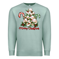 Seafoam merry christmas baseball Premium Sweatshirt - RanaPortraitStore