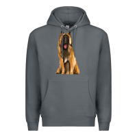 Rock belgian shepherd tervuren Premium Hoodie - Artiststas