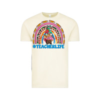 Vintage Arctic teacherlife and teacher gnome rainbow Vintage Tee - Artiststas