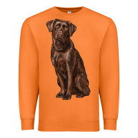 Carrot labrador retriever Premium Sweatshirt - RanaPortraitStore