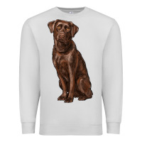 Dove Grey labrador retriever Premium Sweatshirt - RanaPortraitStore