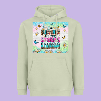 Heavyweight Hoodie ive survived too many storms
