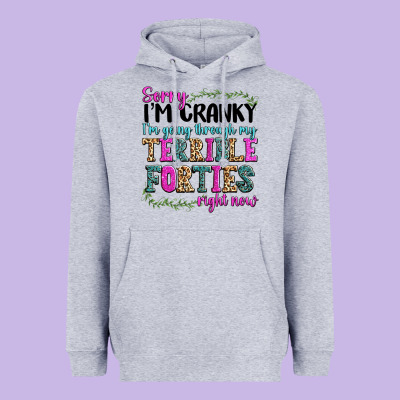 Heavyweight Hoodie sorry im cranky im going through my terrible forti