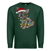 Sports Green christmas french bulldog Premium Sweatshirt - RanaPortraitStore