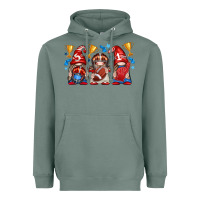 Sage football gnome with element Heavyweight Hoodie - texasbilliewilder