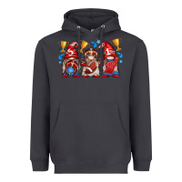 Smoke football gnome with element Heavyweight Hoodie - texasbilliewilder